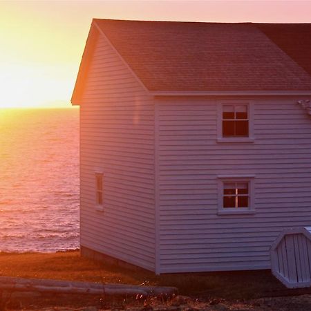 The Old Salt Box Co. - Grandma Lilly'S Villa Fogo Buitenkant foto